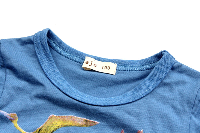 新款童装2-8岁 夏款男童纯棉小恐龙短袖T恤 宝宝时尚T恤-3.jpg