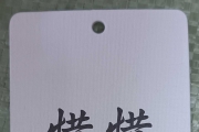 服装网旗下广州潮流服装有限公司商标吊牌和官方Logo