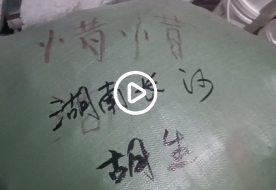 湖南长沙的胡先生9.9元惜惜品牌服装批300件在老家菜市场旁边租了一个500元的档口开店