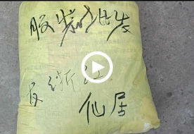 浙江省台州市仙居县周小姐大学暑假创业采购