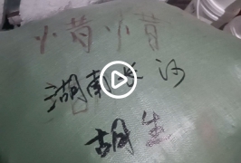 湖南长沙的胡先生9.9元惜惜品牌服装批300件在老家菜市场旁边租了一个500元的档口开店