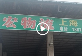上海市松江区新浜镇一家贸易公司服装批发1500件，9.9元件，发货