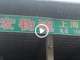 上海市松江区新浜镇一家贸易公司服装批发1500件，9.9元件，发货