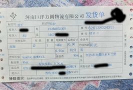 湖南长沙臭豆腐出名城市客户是开服装店采购一批衣服发货9.9元件