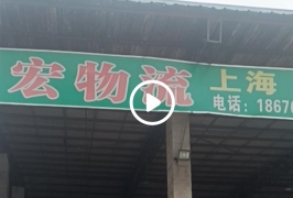 上海市松江区新浜镇一家贸易公司服装批发1500件，9.9元件，发货