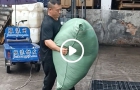发上海浦东区小妹和闺蜜合伙做生意货到了吵架回老家了，又返回广东免费给她好搞到河南