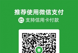收款码-支付